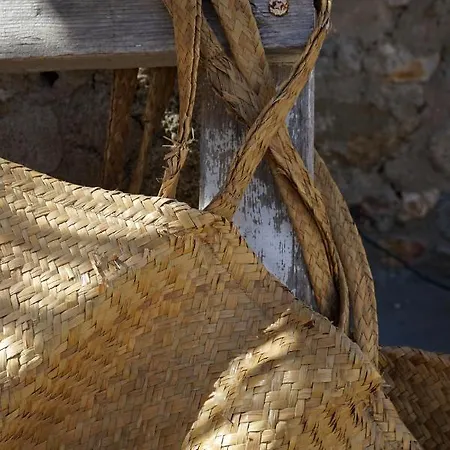 Beetle - Serifians Дом отдыха Vagia (Serifos)